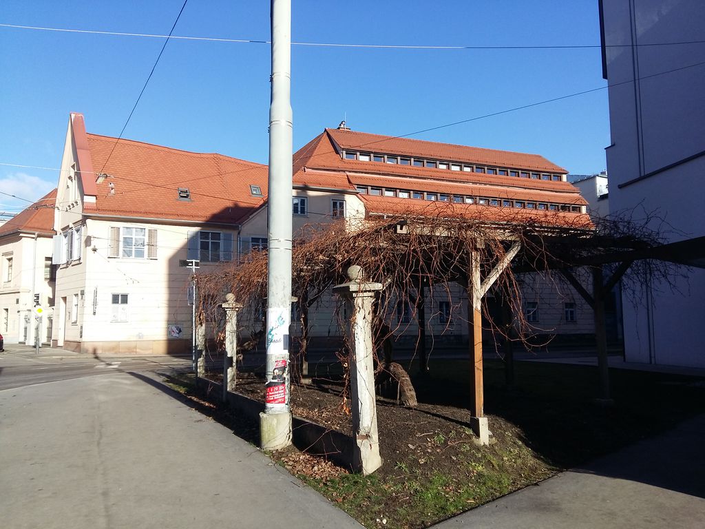 Datei:Der Weinstock im Herbst 2017.jpeg