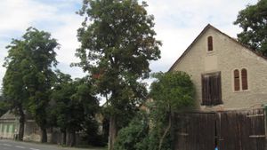Stall und Gasthaus - Laukhardt 2011