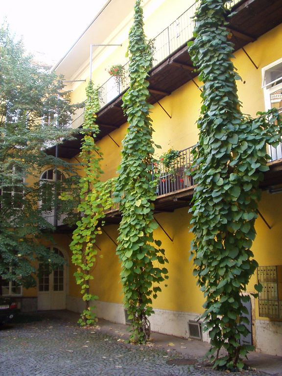 Datei:Jakominiplatz 15, Hof.JPG