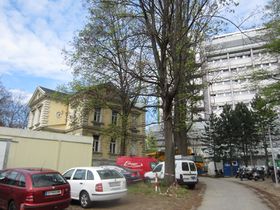 Die bedrängte Villa (Foto Laukhardt) - 2012