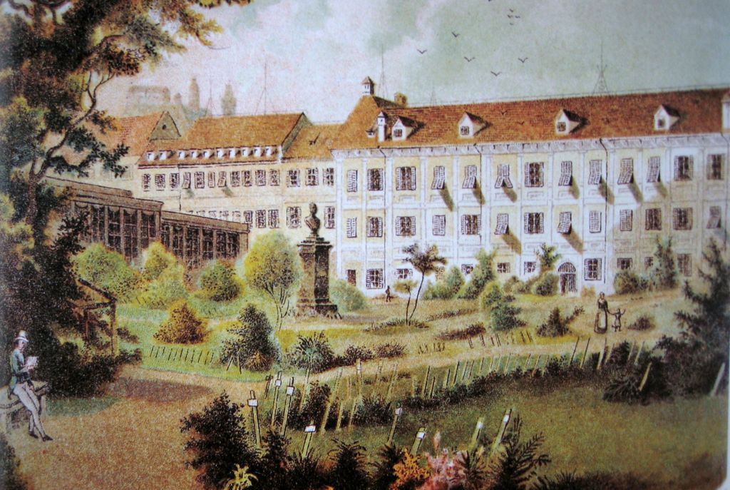 Datei:Botanischer Garten 1911.jpg