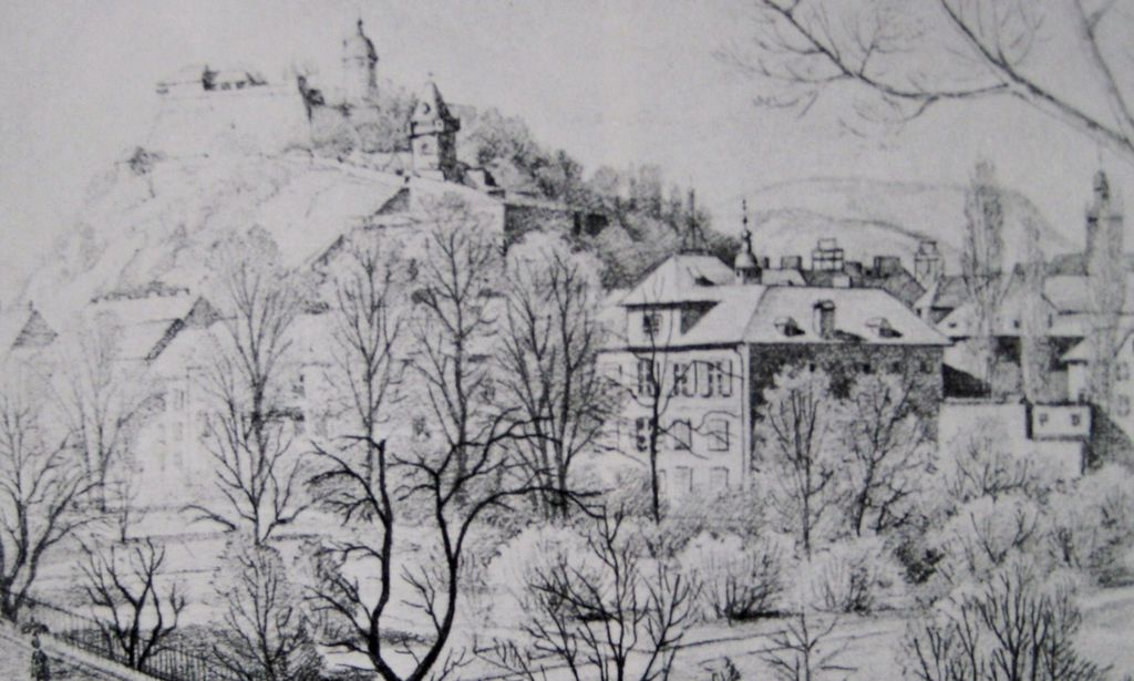 Datei:Botanischer Garten 1889.jpg