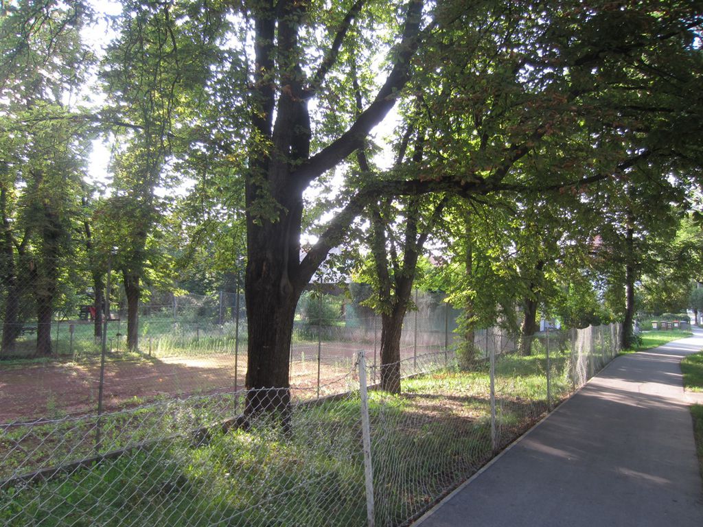Datei:Theodor-Körner-Straße 113, Gehsteig.JPG