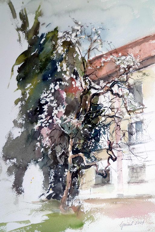 Datei:Joanneumgarten, Magnolie (Greiml) 49x33.jpg