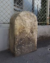 Außenseite: Grazer Panther - 2016